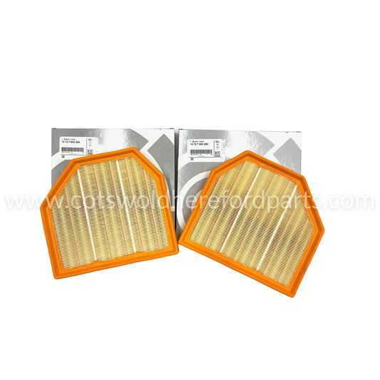 Genuine BMW Air Filter SET of 2 - M3, M4, M5, M6, M2 Comp - S55& S63 Engine - 13727843284 & 13727843283